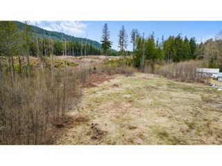 Photo 13: Lot 1 32482 DEWDNEY TRUNK ROAD in Mission: Vacant Land for sale : MLS®# C8056746