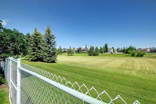Photo 50: 240 Lampard Crescent: Red Deer Detached for sale : MLS®# A1243281