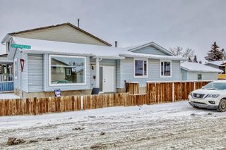Photo 48: 12 Templevale Gate NE in Calgary: Temple Detached for sale : MLS®# A2023278