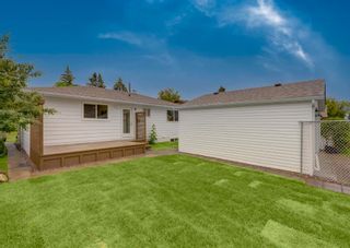 Photo 38: 243 Queen Charlotte Way SE in Calgary: Queensland Detached for sale : MLS®# A1240864