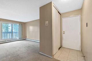 Photo 5: 212 11620 Elbow Drive SW in Calgary: Canyon Meadows Apartment for sale : MLS®# A2086620