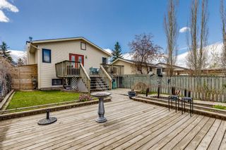 Photo 17: 72 Applewood Drive SE in Calgary: Applewood Park Detached for sale : MLS®# A1219112