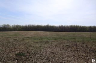 Photo 5: Pt NW-31-46 -1-W5: Rural Wetaskiwin County Vacant Lot/Land for sale : MLS®# E4335325