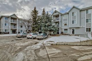 Photo 39: 208 1208 Valleyview Park SE in Calgary: Dover Apartment for sale : MLS®# A2021381