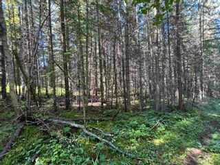 Photo 21: LOT 3 CAVE Road in Williams Lake: Horsefly Land for sale : MLS®# R2719437