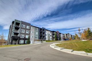 Photo 44: 207 12 Sage Hill Terrace NW in Calgary: Sage Hill Apartment for sale : MLS®# A1154372