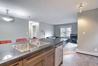Photo 18: 1214 1317 27 Street SE in Calgary: Albert Park/Radisson Heights Apartment for sale : MLS®# A1176223