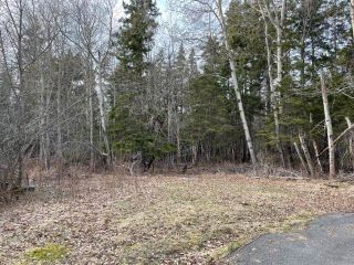Photo 5: 151 New Row in Thorburn: 108-Rural Pictou County Residential for sale (Northern Region)  : MLS®# 202227474