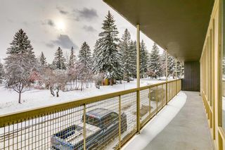 Photo 29: 207 3316 Rideau Place SW in Calgary: Rideau Park Apartment for sale : MLS®# A2090286