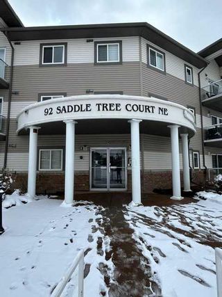 Main Photo: 118 92 Saddletree Court NE in Calgary: Saddle Ridge Apartment for sale : MLS®# A2121337