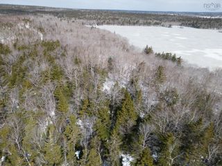 Photo 10: Lot 2 Mood Road in Summerville: County Hwy 3 Vacant Land for sale (Yarmouth)  : MLS®# 202303695