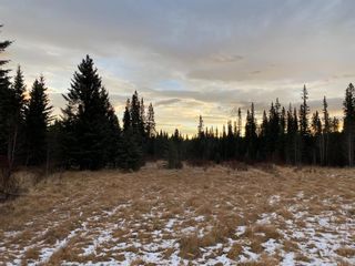 Photo 4: Lot 3 South of Jamieson Road in Rural Bighorn No. 8, M.D. of: Rural Bighorn M.D. Residential Land for sale : MLS®# A1176585