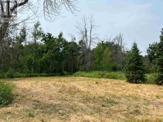 Photo 29: Part 2 Nelson DR in St. Joseph Island: Vacant Land for sale : MLS®# SM240114