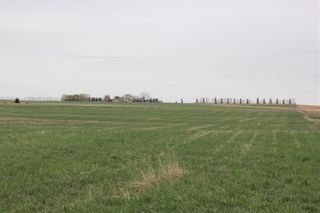 Photo 8: On Highway 567 in Rural Rocky View County: Rural Rocky View MD Land for sale : MLS®# C4233359