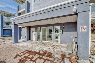 Photo 6: 2210 2280 68 Street NE in Calgary: Monterey Park Apartment for sale : MLS®# A2023196