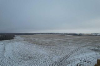 Main Photo: On Township Road 374: Rural Red Deer County Agriculture for sale : MLS®# A2095783
