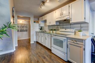 Photo 29: 216 Sandringham Close NW in Calgary: Sandstone Valley Detached for sale : MLS®# A1061259