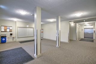 Photo 25: 3213 81 Legacy Boulevard SE in Calgary: Legacy Apartment for sale : MLS®# A1164444