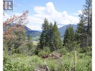 Photo 13: 327 Oxbow Place in Enderby: Vacant Land for sale : MLS®# 10309639