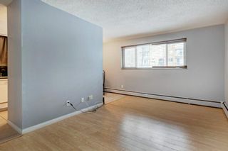 Photo 14: 12 1703 11 Avenue SW in Calgary: Sunalta Apartment for sale : MLS®# A2028973
