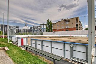 Photo 33: 210 495 78 Avenue SW in Calgary: Kingsland Apartment for sale : MLS®# A2064613