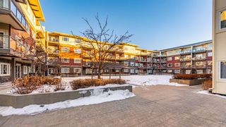 Photo 20: 104 11 Millrise Drive SW in Calgary: Millrise Apartment for sale : MLS®# A2020208