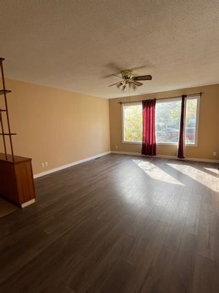 Photo 5: 19 Maple Drive in St. Albert: Mission House for rent