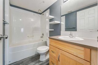 Photo 24: 1210 115 Prestwick Villas SE in Calgary: McKenzie Towne Apartment for sale : MLS®# A2125964