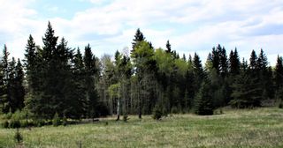 Photo 38: 31518 Hwy 22: Rural Mountain View County Residential Land for sale : MLS®# A1218290
