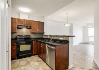Photo 7: 1309 1053 10 Street SW in Calgary: Beltline Apartment for sale : MLS®# A1203694