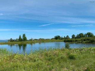 Photo 9: 56 Acre Lot Highway 215 in Kempt Shore: Hants County Vacant Land for sale (Annapolis Valley)  : MLS®# 202213737