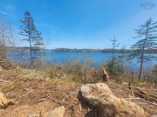 Photo 7: 12 Massachusetts Road in Granville Centre: Annapolis County Vacant Land for sale (Annapolis Valley)  : MLS®# 202210211