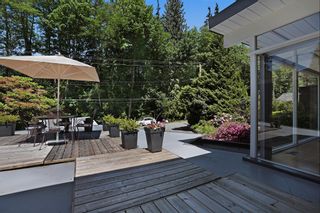 Photo 20:  in West Vancouver: Eagle Harbour House for sale : MLS®# R2170953