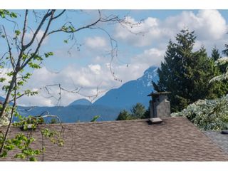 Photo 33: 20877 ALPINE Crescent in Maple Ridge: Northwest Maple Ridge House for sale : MLS®# R2454565