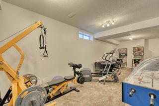 Photo 28: 5 CRANWELL Crescent SE in Calgary: Cranston Detached for sale : MLS®# A1018519