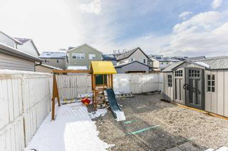 Photo 34: 150 Skyview Point Crescent NE in Calgary: Skyview Ranch Detached for sale : MLS®# A2124250