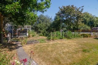 Photo 15: 2864 Dean Ave in Saanich: SE Camosun House for sale (Saanich East)  : MLS®# 879497