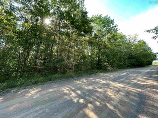 Photo 7: Lot 21-1 Seaview Cemetary Road in Bay View: 108-Rural Pictou County Vacant Land for sale (Northern Region)  : MLS®# 202219438