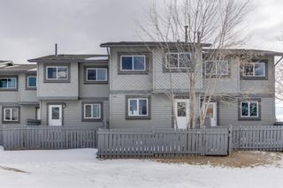 Photo 29: 44 12 Templewood Drive NE in Calgary: Temple Row/Townhouse for sale : MLS®# A1192583