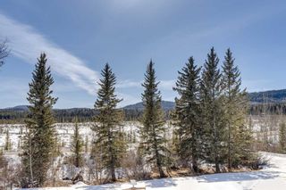Photo 48: 48 Elk Willow Road: Bragg Creek Detached for sale : MLS®# A2118942