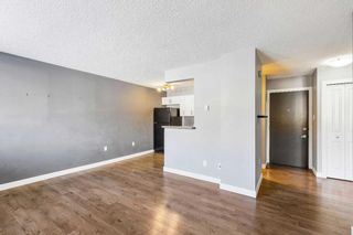 Photo 8: 105 110 24 Avenue SW in Calgary: Mission Apartment for sale : MLS®# A2119201