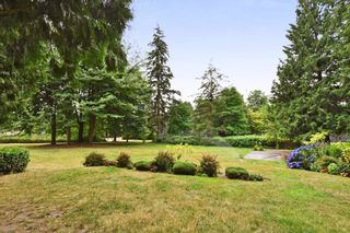 Photo 26: 313 3921 CARRIGAN Court in Burnaby: Government Road Condo for sale in "LOUGHEED ESTATES" (Burnaby North)  : MLS®# R2633411