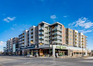 Photo 40: 210 4275 Norford Avenue NW in Calgary: University District Apartment for sale : MLS®# A2012850