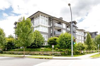 Photo 36: 203 550 SEABORNE Place in Port Coquitlam: Riverwood Condo for sale in "FREMONT GREEN" : MLS®# R2479309