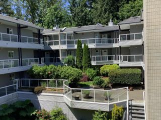 Photo 24: 202 2733 ATLIN Place in Coquitlam: Coquitlam East Condo for sale : MLS®# R2880924
