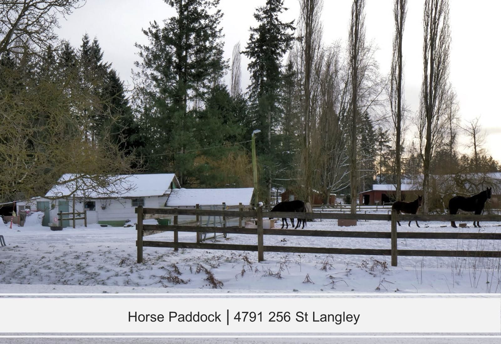 Photo 27: Photos: 4791 256 Street in Langley: Salmon River House for sale : MLS®# R2642355