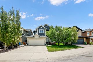 Photo 48: 149 Springborough Green SW in Calgary: Springbank Hill Detached for sale : MLS®# A1227965