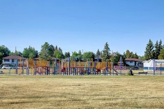 Photo 49: 99 Marwood Circle NE in Calgary: Marlborough Detached for sale : MLS®# A1252653