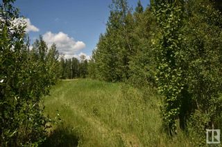 Photo 4: 18 Village West: Rural Wetaskiwin County Rural Land/Vacant Lot for sale : MLS®# E4284993