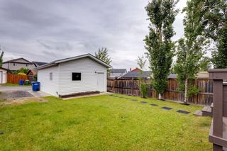 Photo 41: : Airdrie Detached for sale : MLS®# A1240412